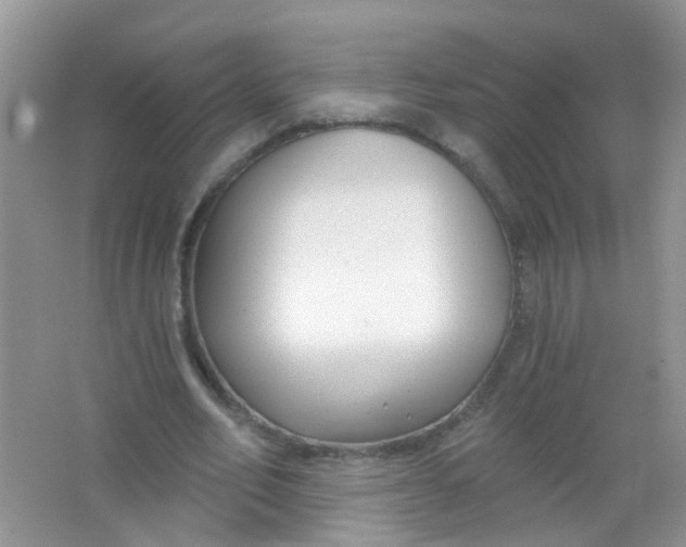 X0000065950582200603241823