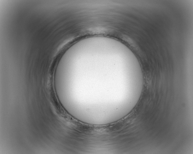 X0000065950583200603241823