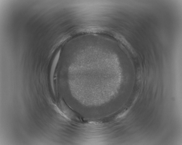 X0000065950585200603241823