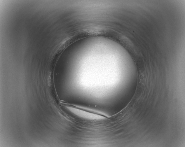 X0000065950596200603241823