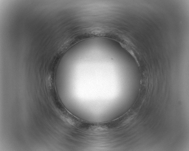 X0000065950597200603241823