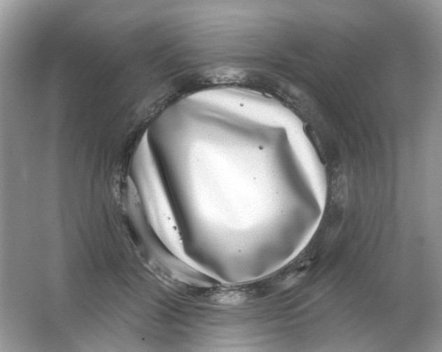 X0000065950604200603241823