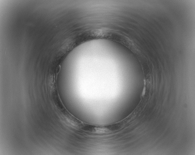 X0000065950605200603241823