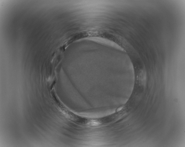 X0000065950610200603241823