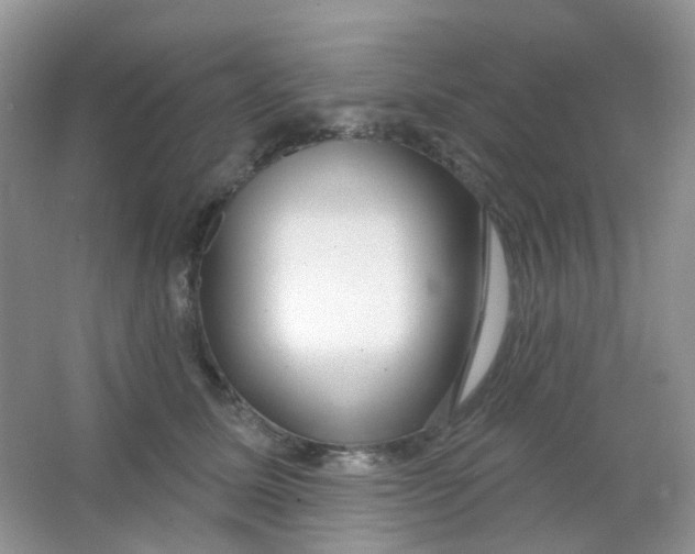 X0000065950611200603241823