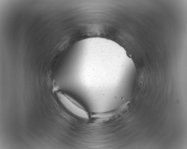X0000065950616200603241823