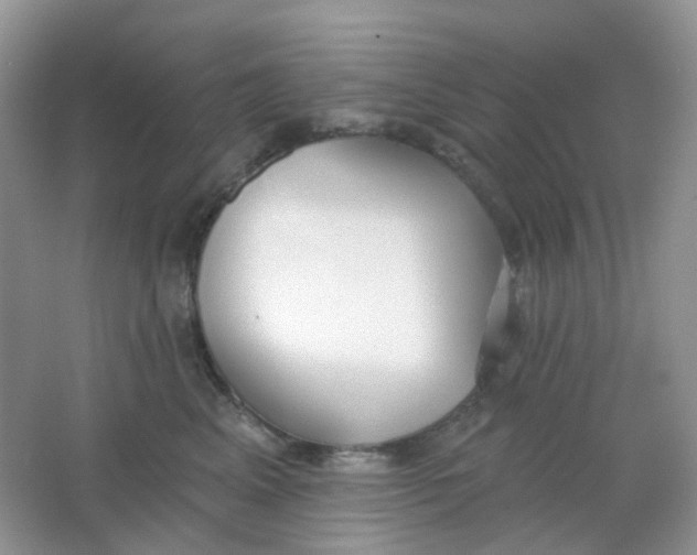 X0000065950617200603241823