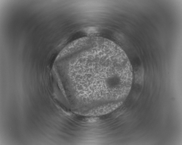X0000065950618200603241823