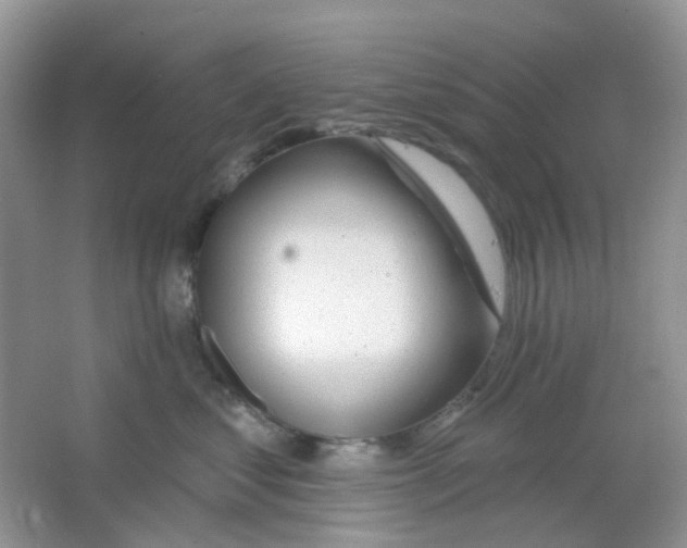 X0000065950621200603241822