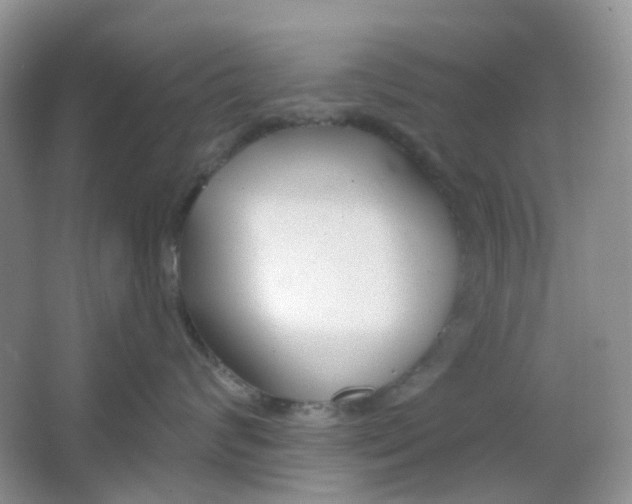 X0000065950624200603241822