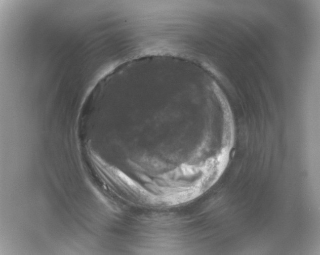 X0000065950626200603241822