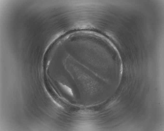 X0000065950630200603241822