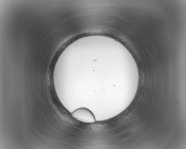 X0000065950636200603241822