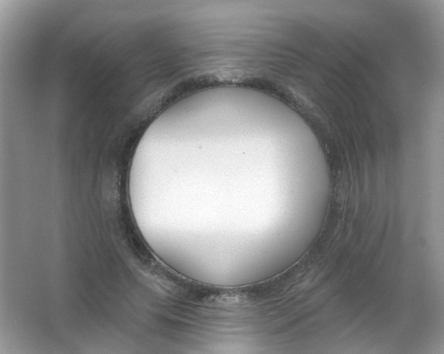 X0000065950639200603241822