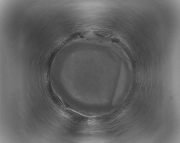 X0000065950641200603241822