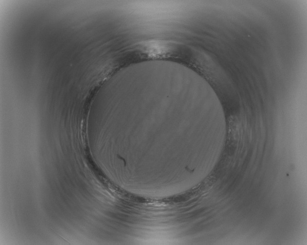 X0000065950650200603241822