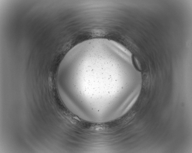 X0000065950655200603241822