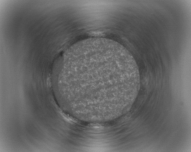 X0000065950658200603241822