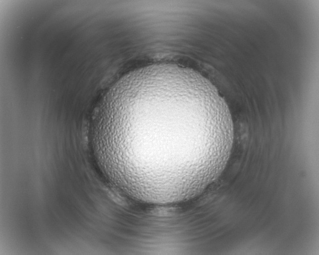 X0000065950664200603241822