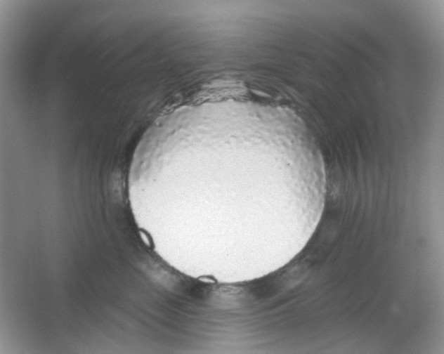 X0000065950669200603241822
