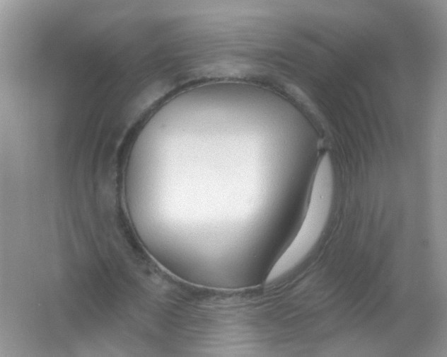 X0000065950675200603241822