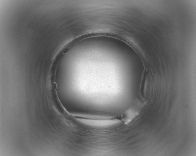 X0000065950676200603241822
