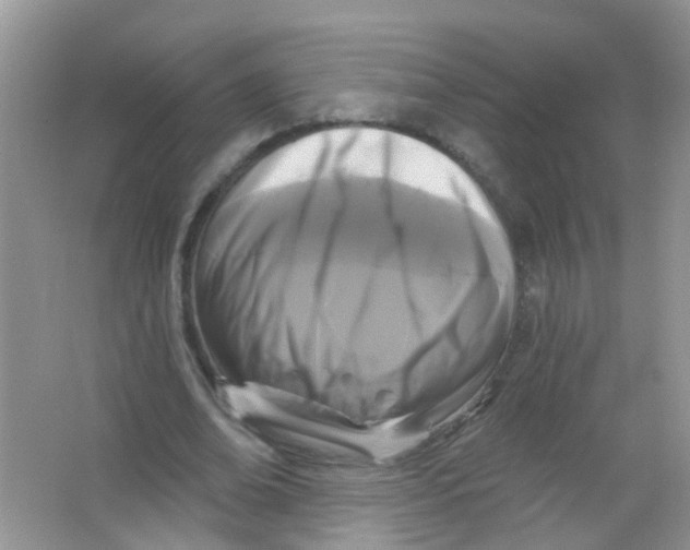 X0000065950678200603241822