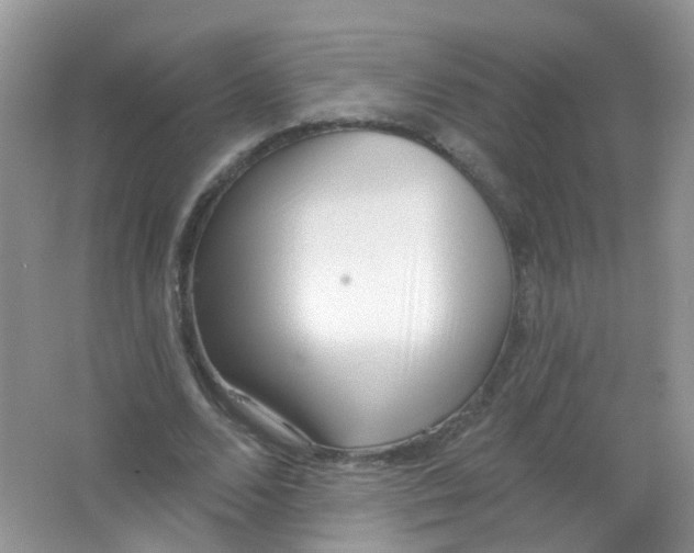 X0000065950680200603241821