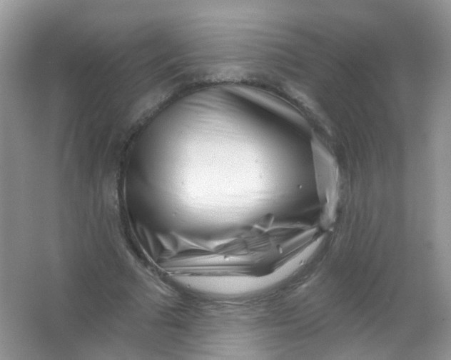 X0000065950681200603241821