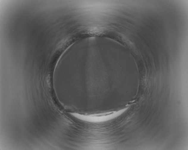 X0000065950689200603241821