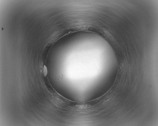 X0000065950693200603241821