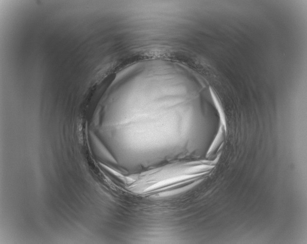 X0000065950696200603241821