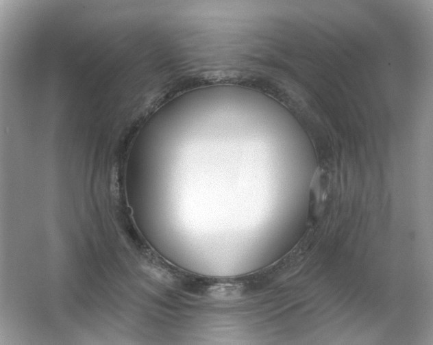 X0000065950700200603241821