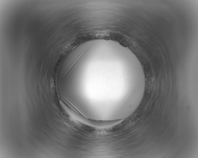 X0000065950704200603241821