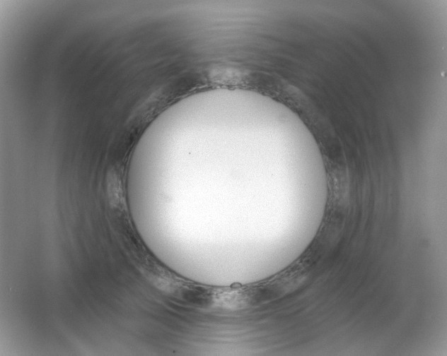 X0000065950705200603241821