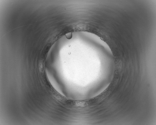 X0000065950709200603241821