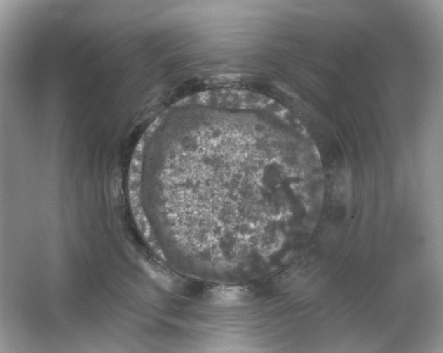 X0000065950711200603241821