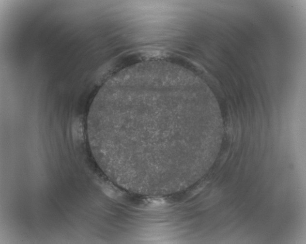 X0000065950715200603241821
