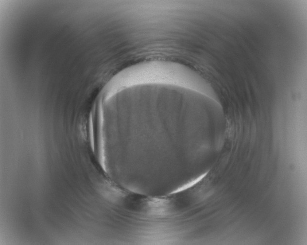 X0000065950718200603241821