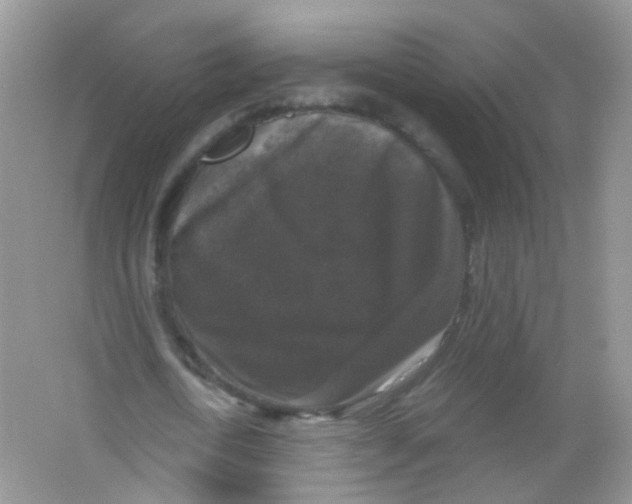 X0000065950722200603241820
