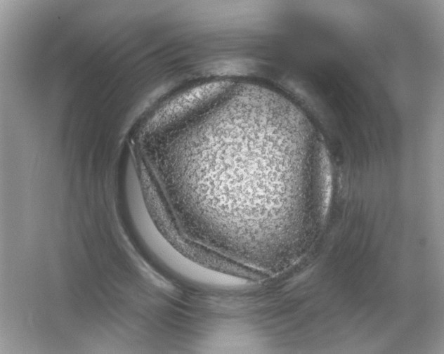 X0000065950725200603241820
