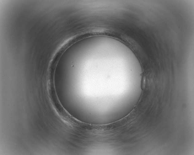 X0000065950728200603241820