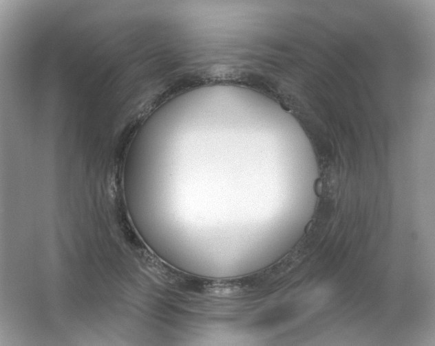 X0000065950746200603241820