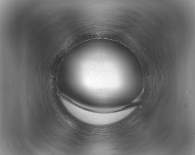 X0000065950750200603241820