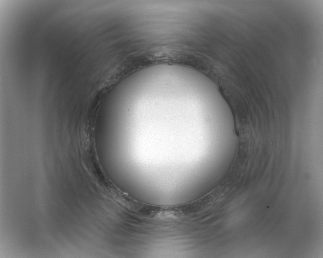 X0000065950751200603241821