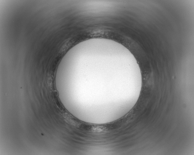 X0000065950753200603241821