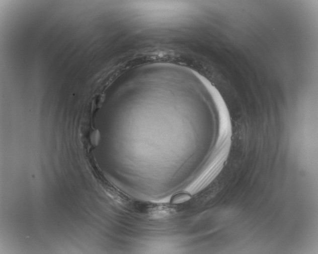 X0000065950754200603241821