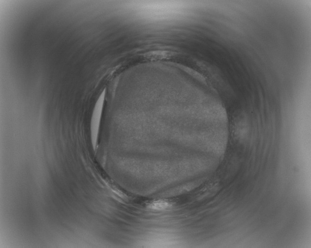 X0000065950759200603241821