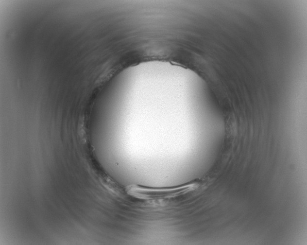 X0000065950764200603241821