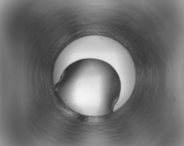 X0000065950766200603241821
